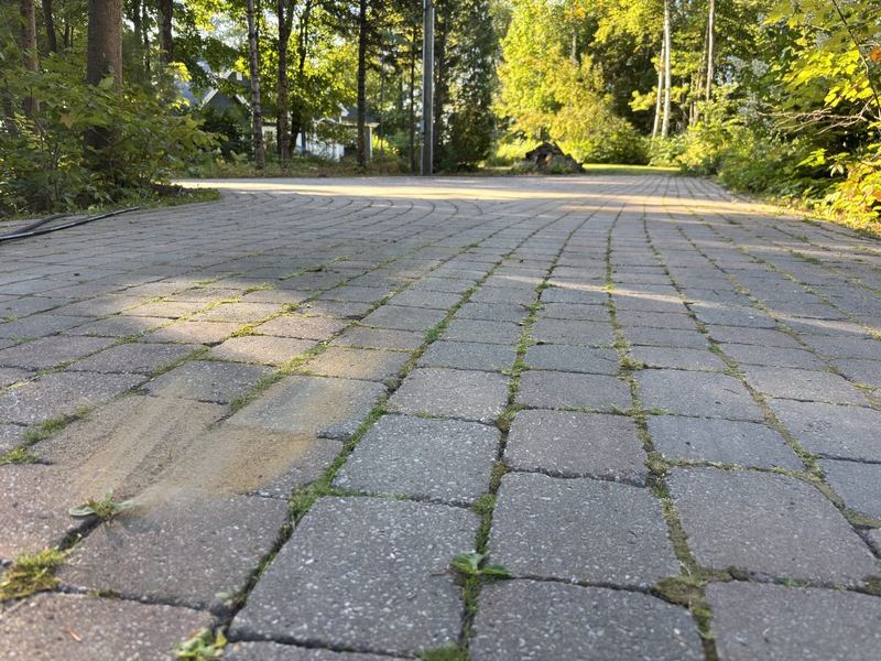 Entrée de pavé uni avant restauration